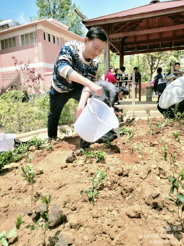 绿美校园——播种希望